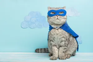 Who is a cat's favorite superhero? image