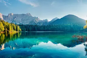 Who loves the lake but refuses to get wet? image