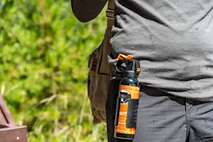 Who should carry the bear mace when hiking with friends? image