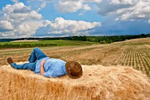 Why are farmers so laid-back? image