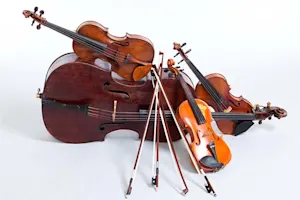 Why are stringed instruments always in peak physical condition? image