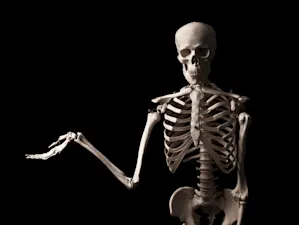 Why can't skeletons play music at a church? image