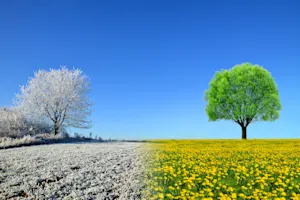 Why did spring break up with winter? image