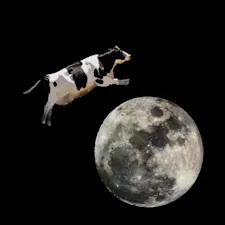 Why did the cow go to outer space? image