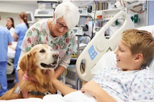 Why did the doctor let his dog help with his patients? image