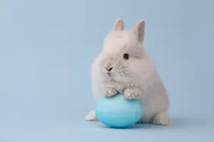 Why did the Easter Bunny panic when the kids decorated his eggs? image