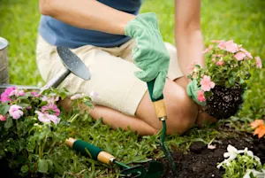 Why did the gardener have a hard time asking for a raise? image