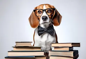 Why did the puppy struggle in school? image