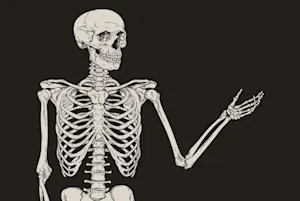 Why did the skeleton buy the base model car? image