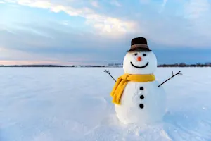 Why did the snowman look through a bag of carrots? image