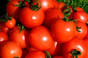 Why did the tomato turn red? image