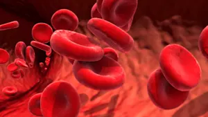 Why did the two red blood cells break up? image