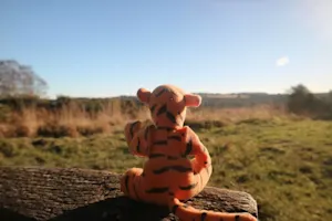 Why did Tigger™ stick his head in the toilet? image