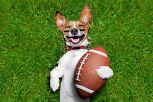 Why didn't the dog want to play football? image