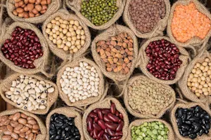 Why do legumes gossip so much? image