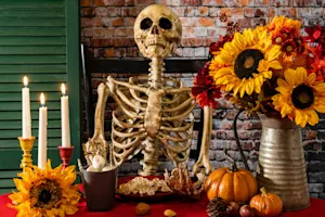 Why do skeletons make such terrible restaurant patrons? image