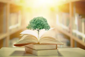 Why do trees hate going to school? image