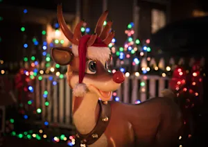 Why does Rudolph love to get wet? image