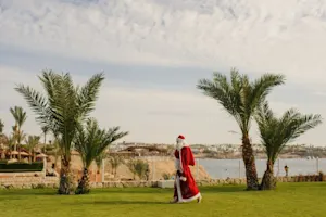 Why does Santa love to work in the garden? image