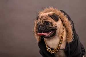 Why does Snoop Dogg always have an umbrella with him? image