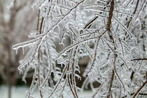 Why doesn't sleet have any friends? image