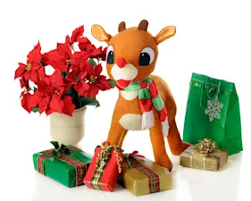 Why doesn't Rudolph mind getting wet? image
