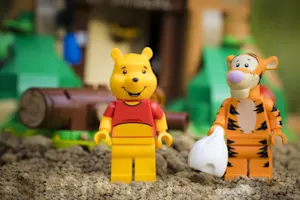 Why doesn't Winnie the Pooh™ wear shoes? image