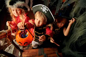 Why don't skeletons ever go trick-or-treating on Halloween? image