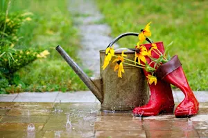 Why is summer always sad? image