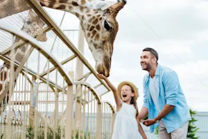 Why should you take your dad to the zoo for Father's Day? image