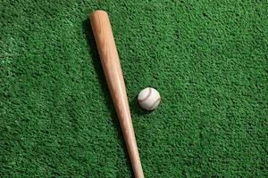 Why shouldn't you go to a baseball game on bat day? image