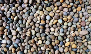 Why was the dating app for rocks canceled? image