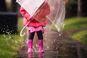 Why was the spring storm in a great mood? image