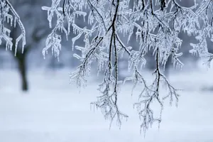 You have to be very careful in an ice storm. image